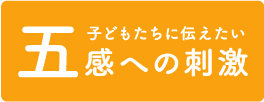 5つの感覚